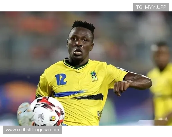 科特迪瓦大象军团在国际赛事中表现稳健，迎来新的发展机会