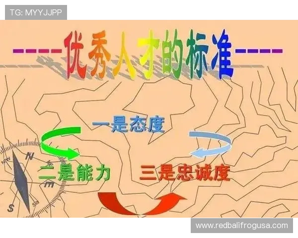 法国新星巴尔科拉战术角色解析：体系依赖与个人能力体现差异