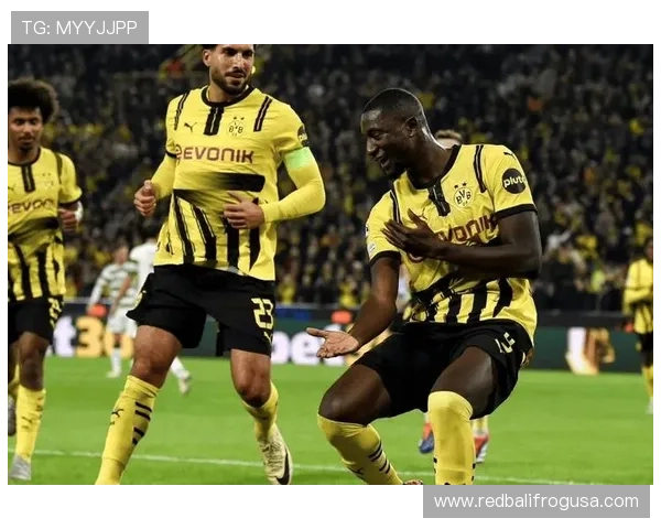 多特蒙德稳定性不足问题逐步反映，对赛季争冠走势形成制约。