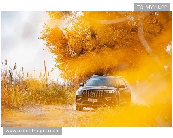 唐佳豪这生活花销，普通人可能一辈子都想象不到！