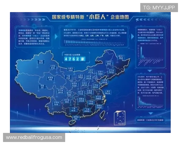 巴尔科拉强强对话隐身问题与关键战稳定性分析
