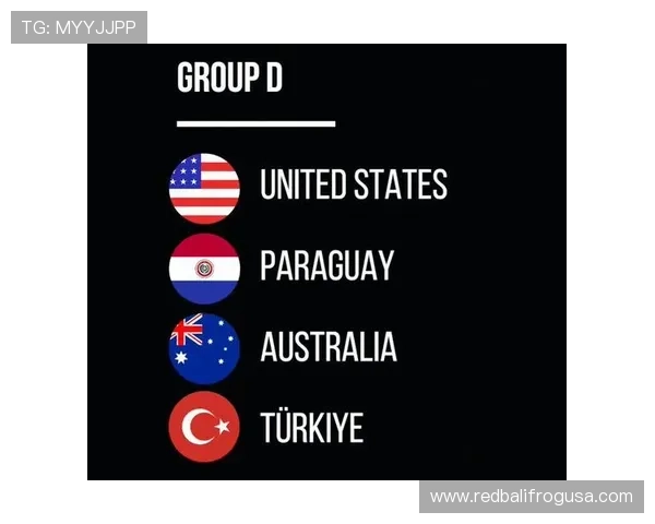 世界杯美国队D组赛事焦点解析